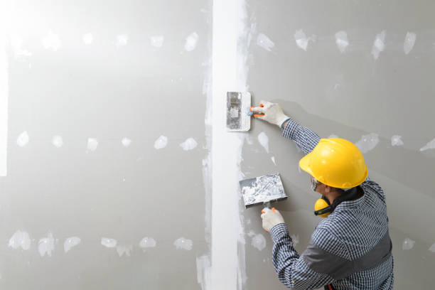 Best Environmental Consulting for Mold Prevention  in Cayuga, IN