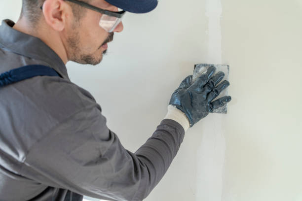 Best Attic Mold Removal  in Cayuga, IN